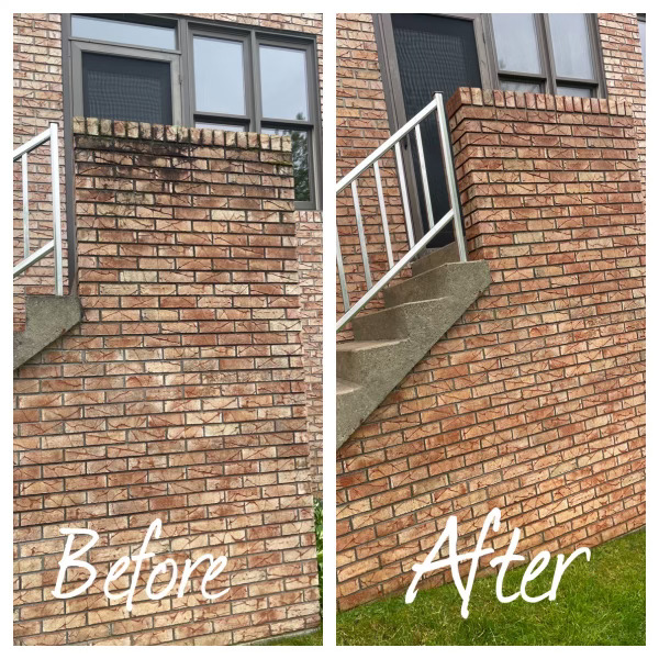 Before and after brick wall cleaning